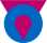 Logo ORM